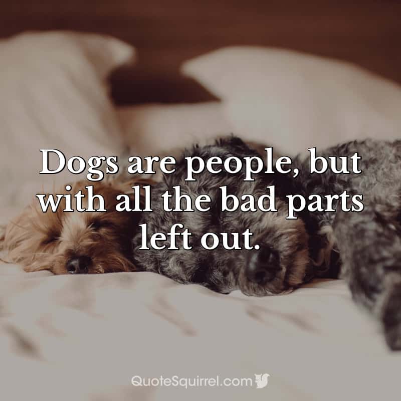 Dogs are people, but with all the bad parts left out
