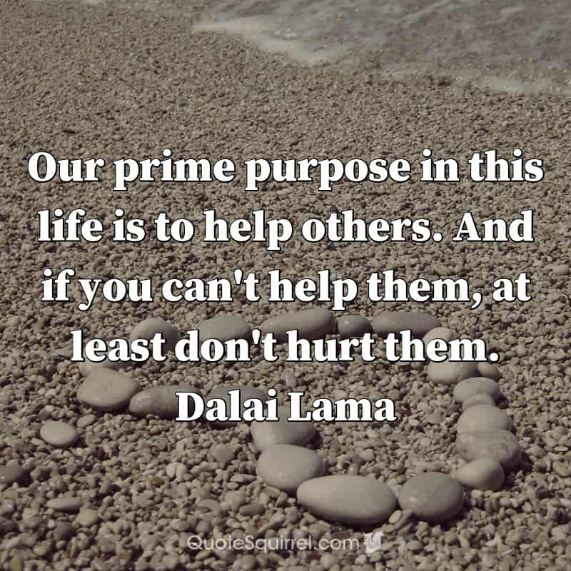 Our prime purpose in this life is to help others. And if you can’t help