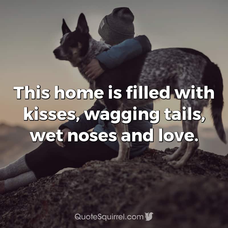 This home is filled with kisses, wagging tails, wet noses and love