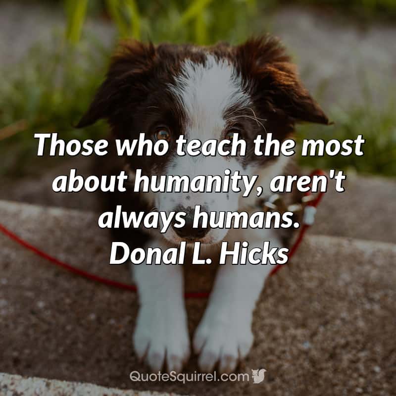 Those who teach the most about humanity, aren’t always humans
